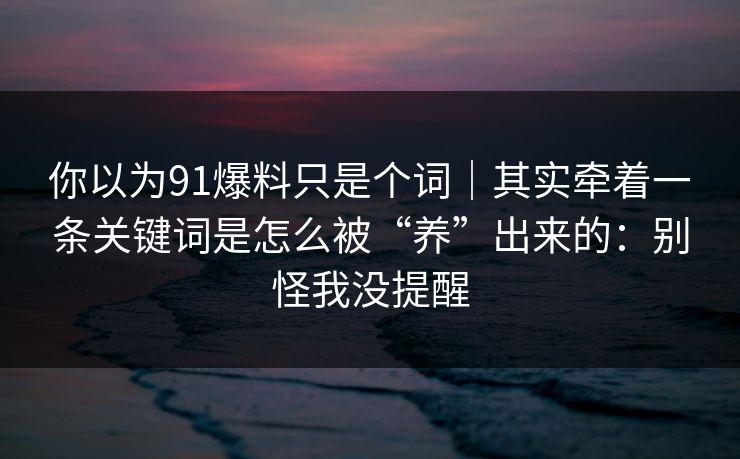 你以为91爆料只是个词｜其实牵着一条关键词是怎么被“养”出来的：别怪我没提醒