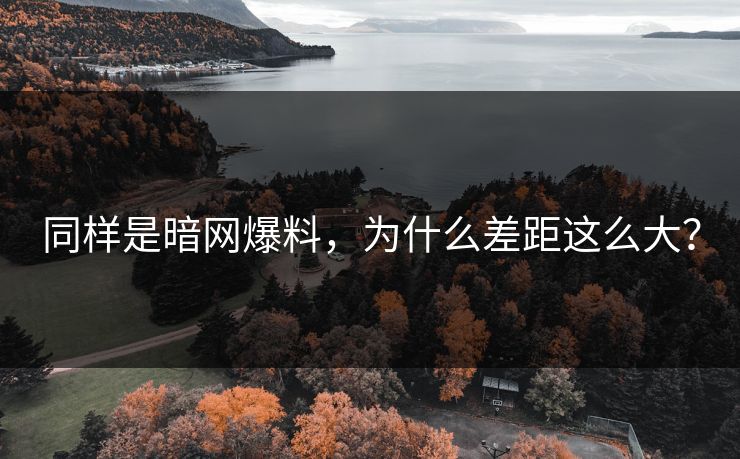 同样是暗网爆料，为什么差距这么大？