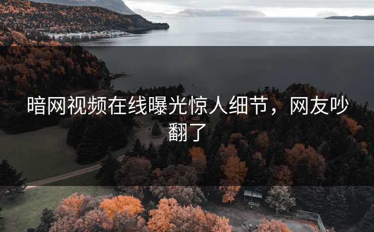 暗网视频在线曝光惊人细节，网友吵翻了