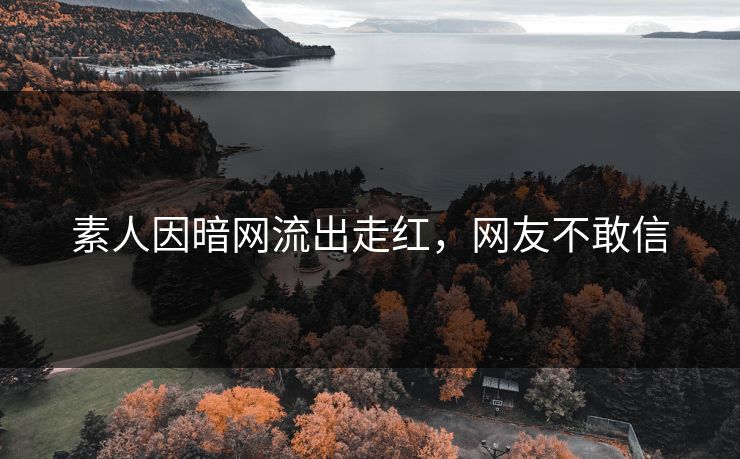 素人因暗网流出走红，网友不敢信