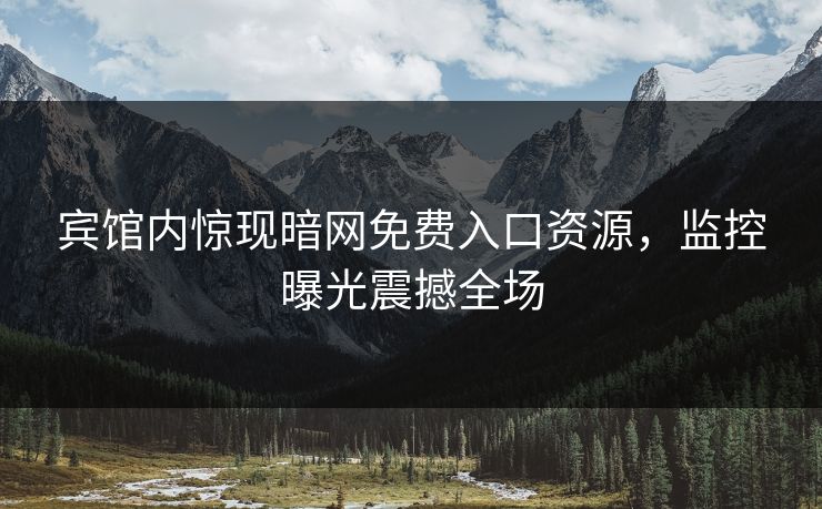 宾馆内惊现暗网免费入口资源，监控曝光震撼全场