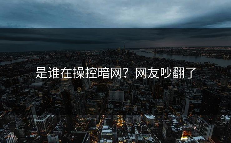 是谁在操控暗网？网友吵翻了