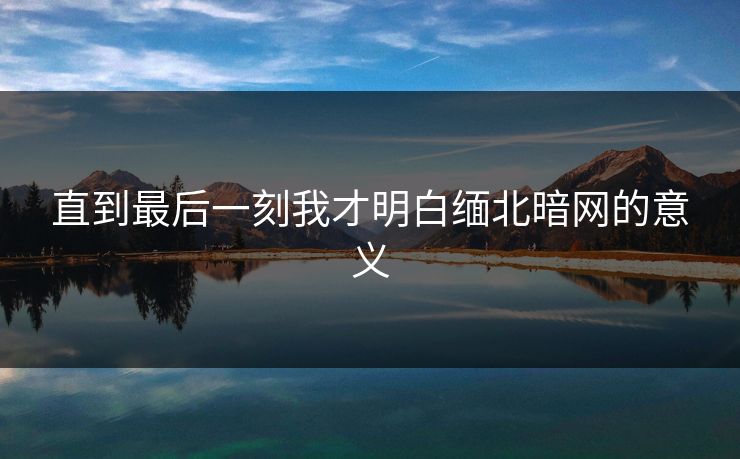 直到最后一刻我才明白缅北暗网的意义