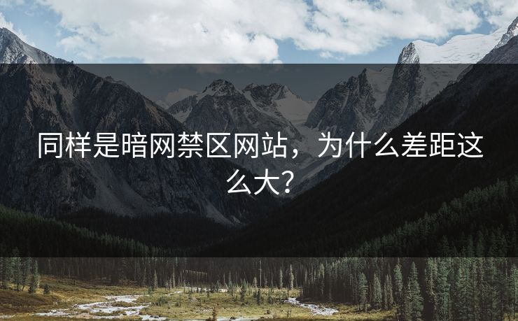 同样是暗网禁区网站，为什么差距这么大？