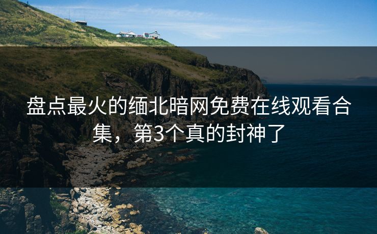 盘点最火的缅北暗网免费在线观看合集，第3个真的封神了