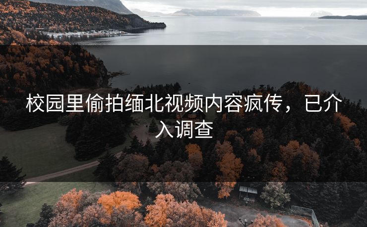 校园里偷拍缅北视频内容疯传，已介入调查