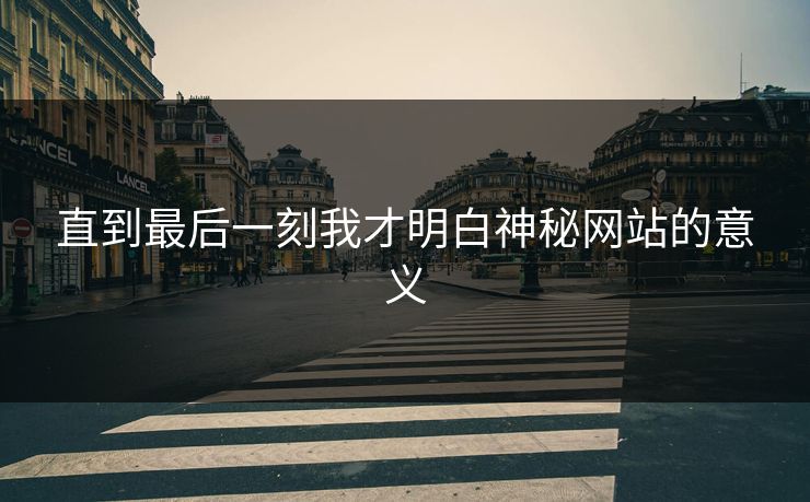 直到最后一刻我才明白神秘网站的意义