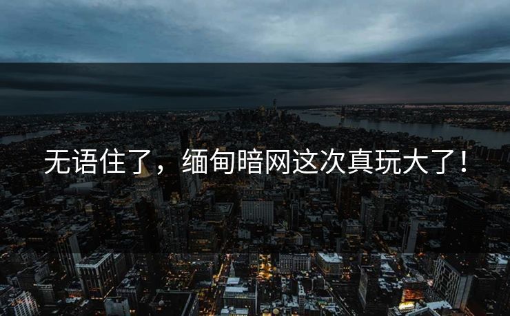 无语住了，缅甸暗网这次真玩大了！