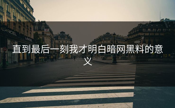 直到最后一刻我才明白暗网黑料的意义
