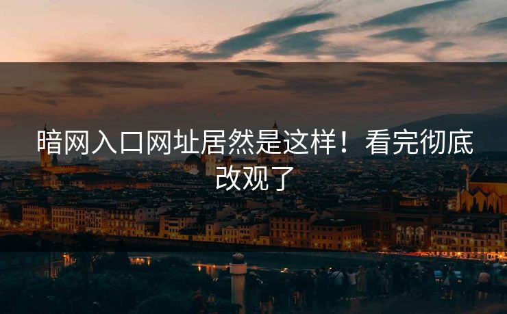 暗网入口网址居然是这样！看完彻底改观了