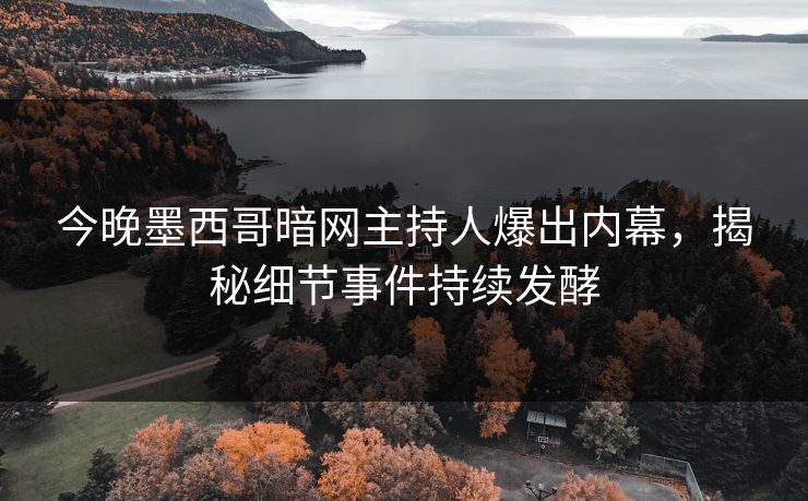 今晚墨西哥暗网主持人爆出内幕，揭秘细节事件持续发酵
