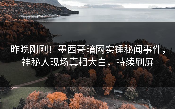 昨晚刚刚！墨西哥暗网实锤秘闻事件，神秘人现场真相大白，持续刷屏
