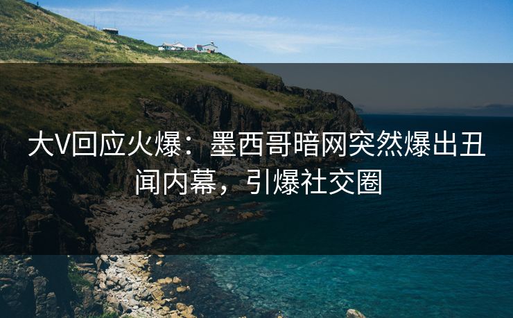 大V回应火爆：墨西哥暗网突然爆出丑闻内幕，引爆社交圈