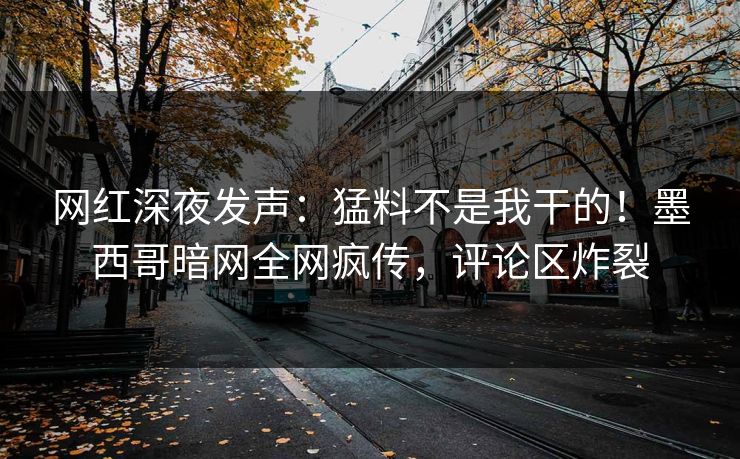网红深夜发声：猛料不是我干的！墨西哥暗网全网疯传，评论区炸裂