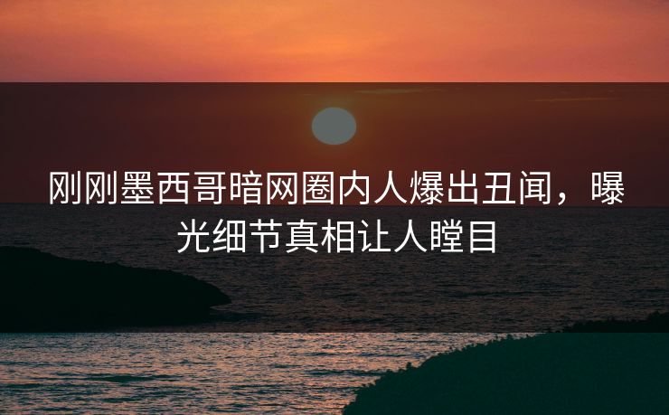 刚刚墨西哥暗网圈内人爆出丑闻，曝光细节真相让人瞠目