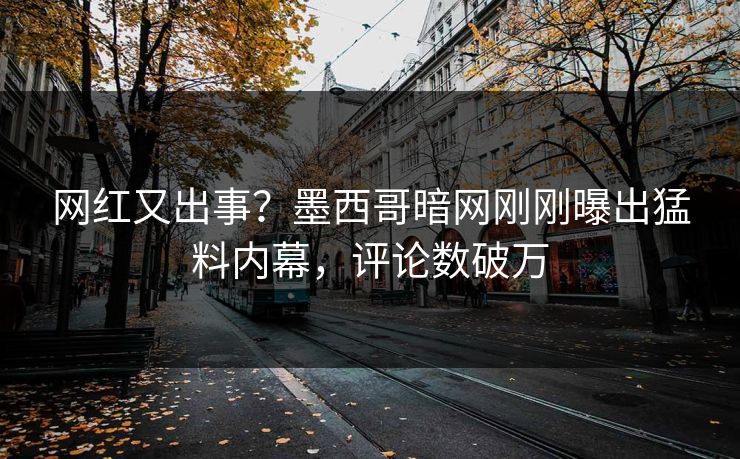 网红又出事？墨西哥暗网刚刚曝出猛料内幕，评论数破万