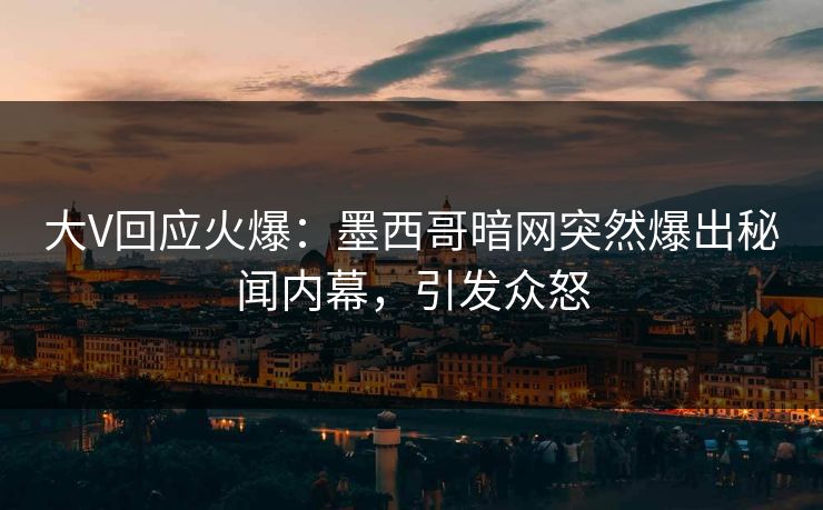 大V回应火爆：墨西哥暗网突然爆出秘闻内幕，引发众怒