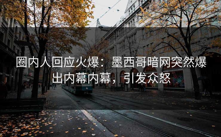 圈内人回应火爆：墨西哥暗网突然爆出内幕内幕，引发众怒
