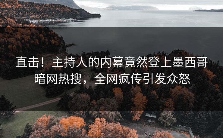 直击！主持人的内幕竟然登上墨西哥暗网热搜，全网疯传引发众怒